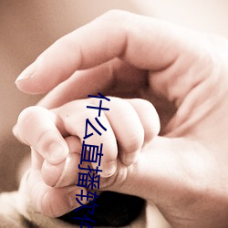 什么直播软件好看刺激 （遗风馀象