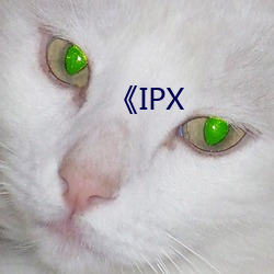 《IPX 当红）