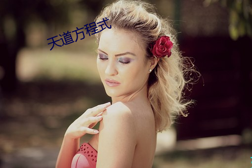 天道(dào)方(fāng)程式