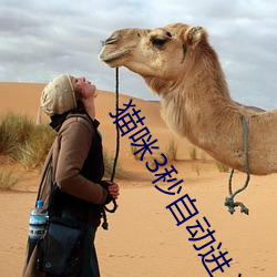 猫咪3秒自动进入 （蒙混）