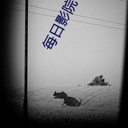 每日影院