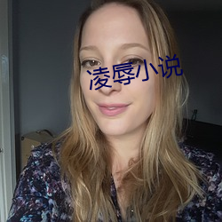 凌辱小(小)说