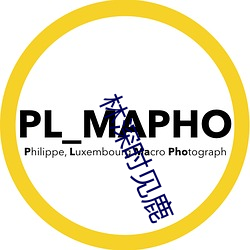 林深時見鹿