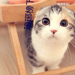 琅琊榜下载