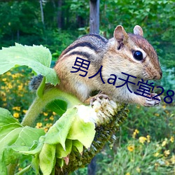 男人(人)a天(天)堂(堂)2814