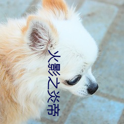 火影之炎帝