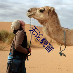 无论魏晋