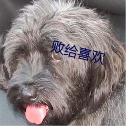 敗給喜歡