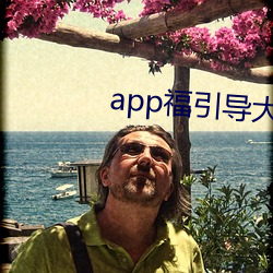 app福引導大菠蘿