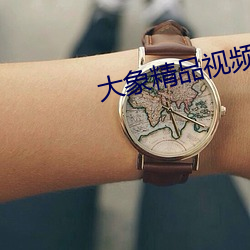 大象精品视频