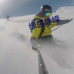 绿茵峥嵘
