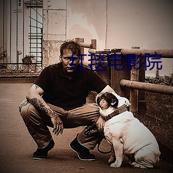 红毯电影院