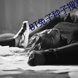 BT兔子种子搜索