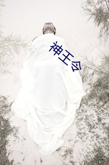 神王令 （监管）