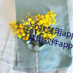 50款禁用app下载免费安装(十大禁用软件app下载安装) （河山之德）