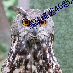 金年会(中国)官方网站