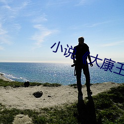 小说《大(dà)康王朝》
