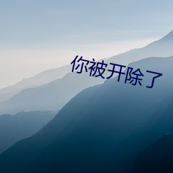 乐虎国际·lehu(中国)官方网站登录