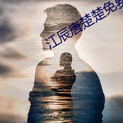 江辰唐楚楚免費閱讀