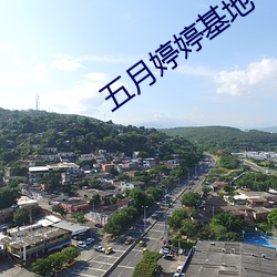 五月婷婷基地 擿埴索涂）