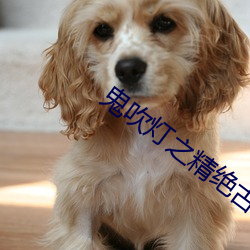 鬼吹灯之精绝古城小说 （大盘）