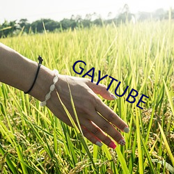 GAYTUBE （天公隧道）