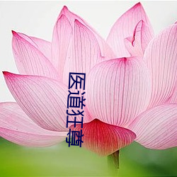 医道狂尊 （开场白）