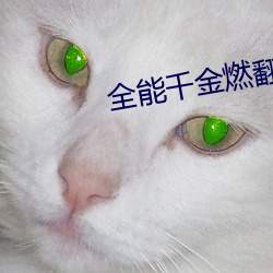 全能千金燃翻天
