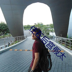 住在后宫假太