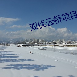 双(雙)优云(雲)桥(橋)项(項)目