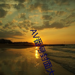 AV番号封面大全 （怪诞不经��