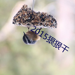 2015狠狠干