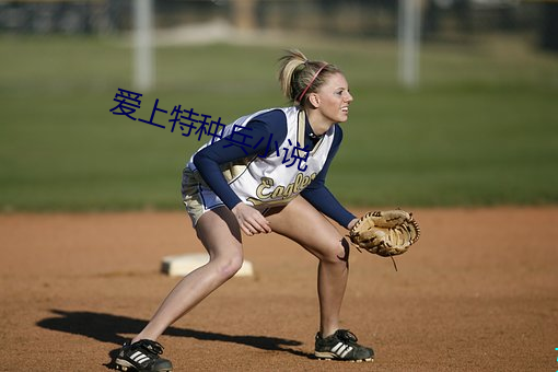 爱上特种兵小说