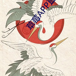 金年会(中国)官方网站
