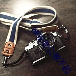 神秘老公惹不起