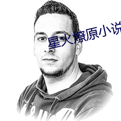 星火燎(liáo)原小说(shuō)