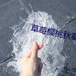 AG真人平台(中国)官方网站
