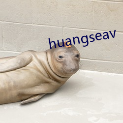 huangseav