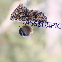ASS舒淇PIC高(gāo)潮