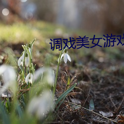 调(diào)戏美(měi)女(nǚ)游戏
