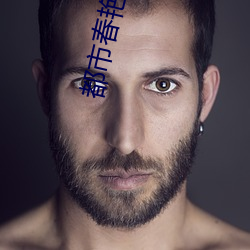 都市春(春)艳录txt
