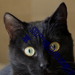 Ʒ(Ʒ)۲ӰԺ(Ժ)()()()ԴԴ(Դ)ͺܷ(S)()