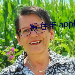 黄 色带 app破解视频