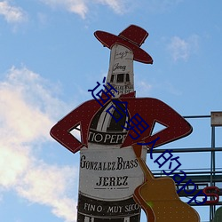 适(適)合男人(人)的app