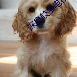 深度较量电视(sh¨¬)剧全集在(z¨¤i)线观