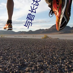 与(與)君长诀