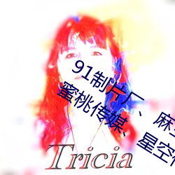 91制片厂、麻豆(dòu)映画传媒、天美(měi)传媒(méi)、蜜(mì)桃(táo)传媒、星空传媒、