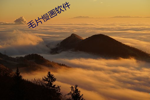 毛(毛)片(片)慢画软件