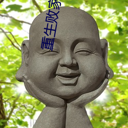 重生败家子