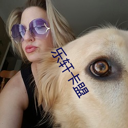 樂軒卡盟
